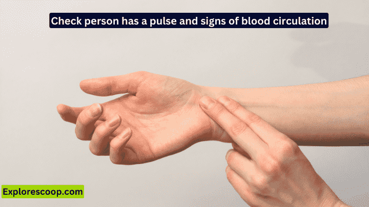 What is the First and Foremost Essential First Aid Factor| 3 Vital First Aid Factors 4 image showing sign of pulse checking